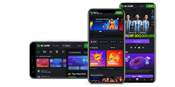 Is BC.Game Legit An In-Depth Analysis of Trustworthiness