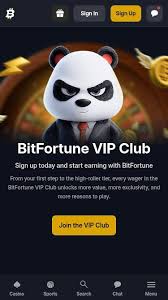 Bitfortune Casino Canada Compared A Comprehensive Review
