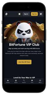 Enhancing Payment Experience with Bitfortune Coin The Importance of Deposit Accuracy